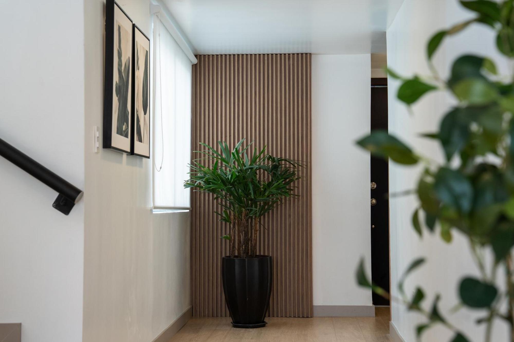 Spectacular Flat,3 Bedrooms, Central, Terrace, Free Parking Куэнка Экстерьер фото